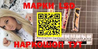 крисы Краснодар