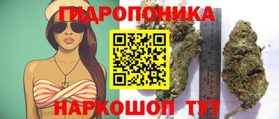 крисы Краснодар