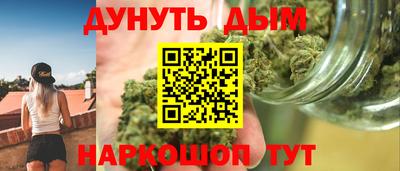 крисы Краснодар
