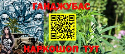 крисы Краснодар